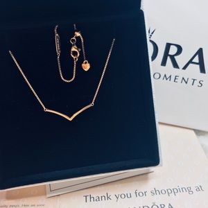 Pandora necklace